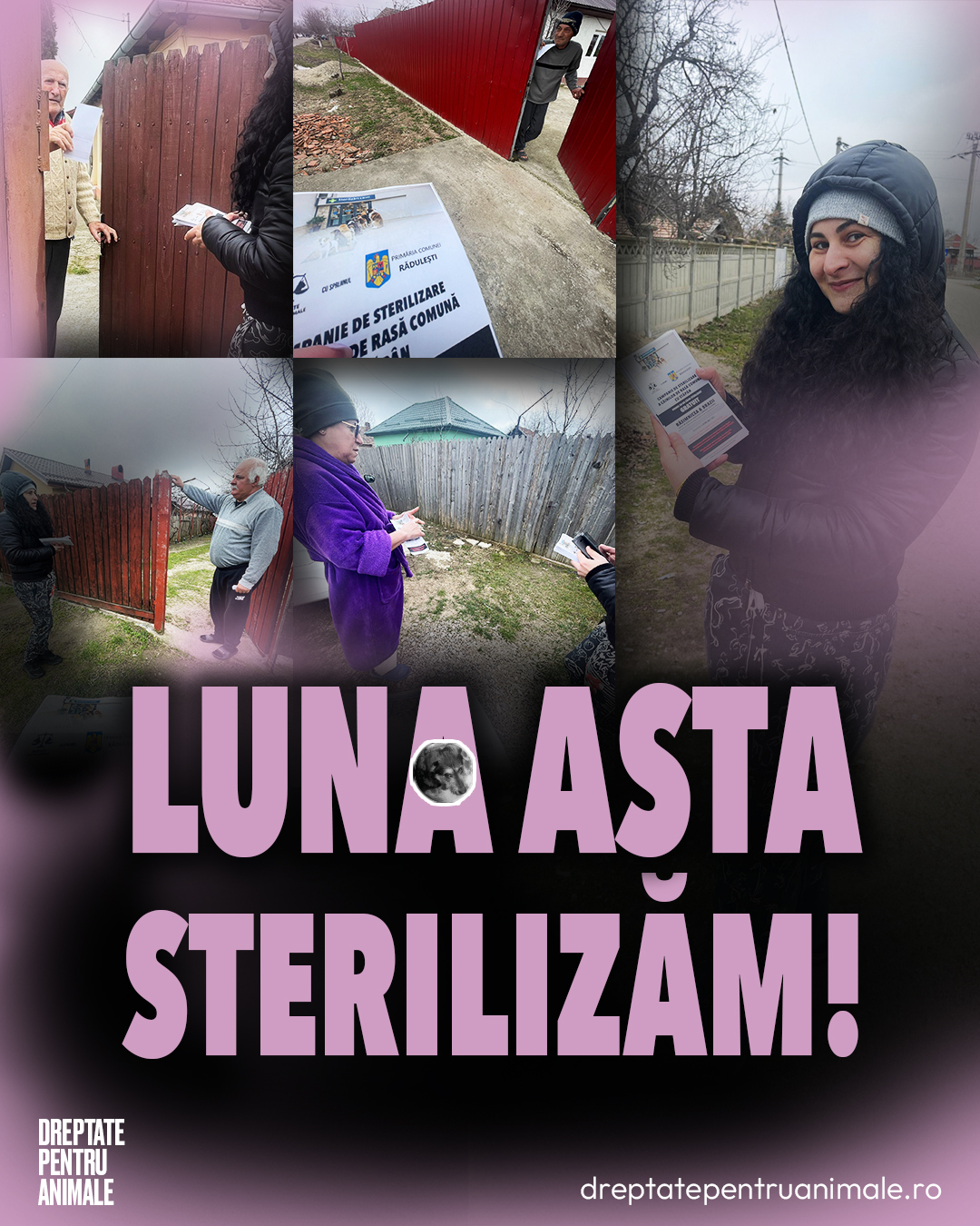 program  sterilizare