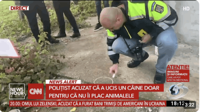 Polițist acuzat că a ucis un câine doar pentru că nu îi plac animalele